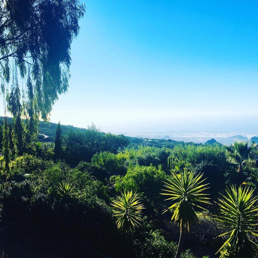 Tenerife Nature Retreat Ifonche エクステリア 写真