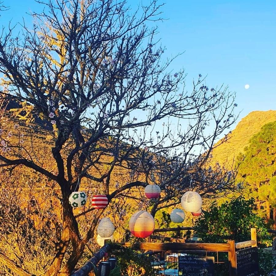 Tenerife Nature Retreat Ifonche エクステリア 写真