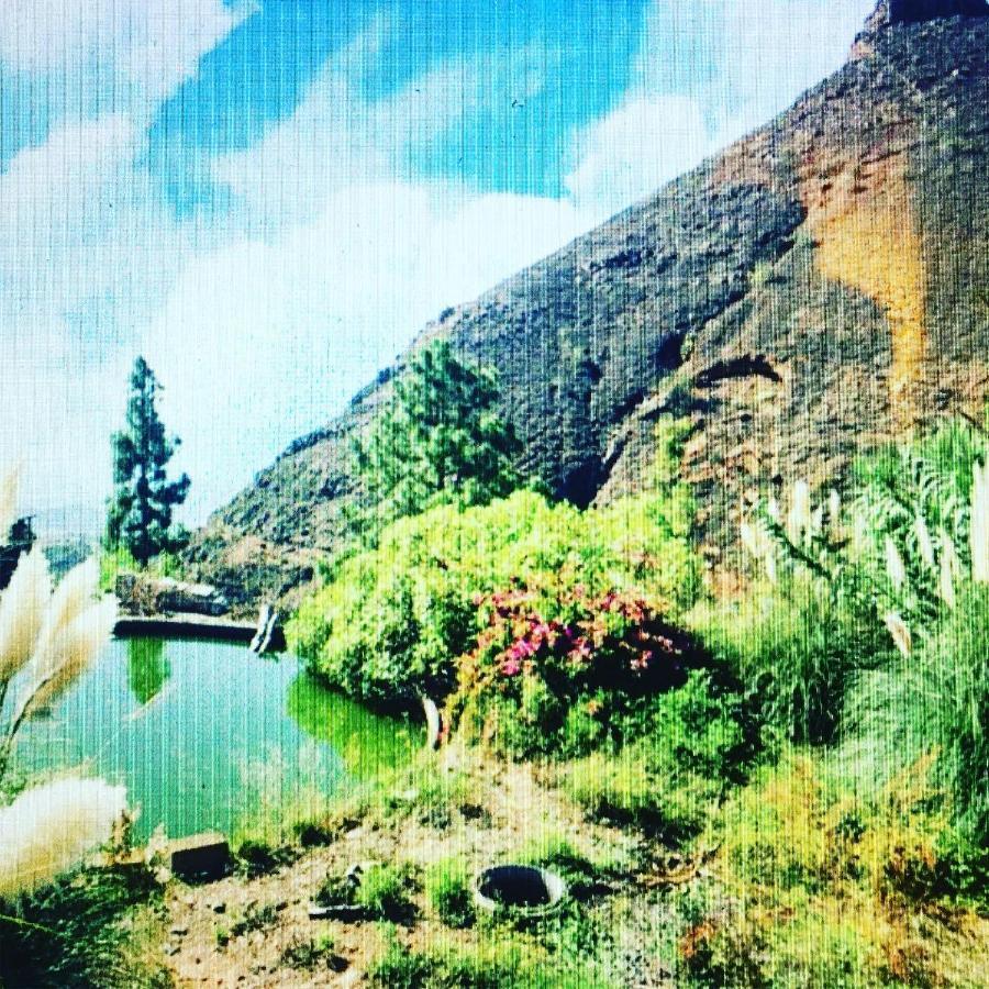 Tenerife Nature Retreat Ifonche エクステリア 写真